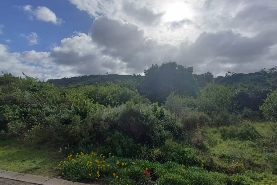 0 Bedroom Property for Sale in Dolphin Creek Golf Estate Western Cape